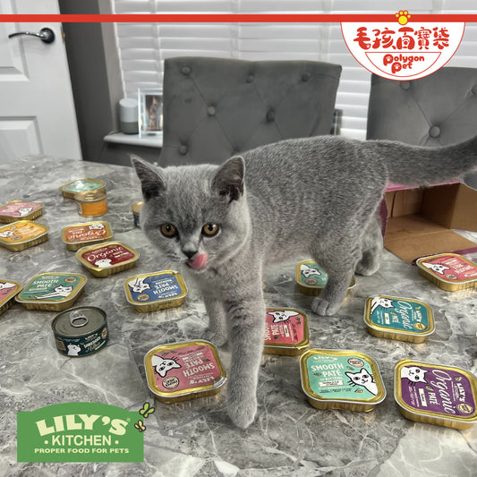 Lily's Kitchen 🐱主食罐系列